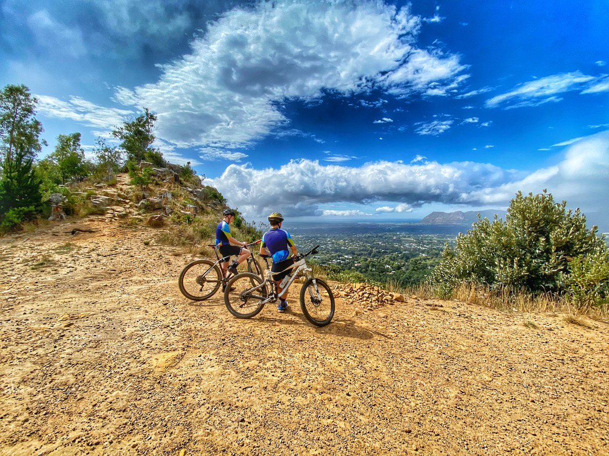 kim voller tweet media