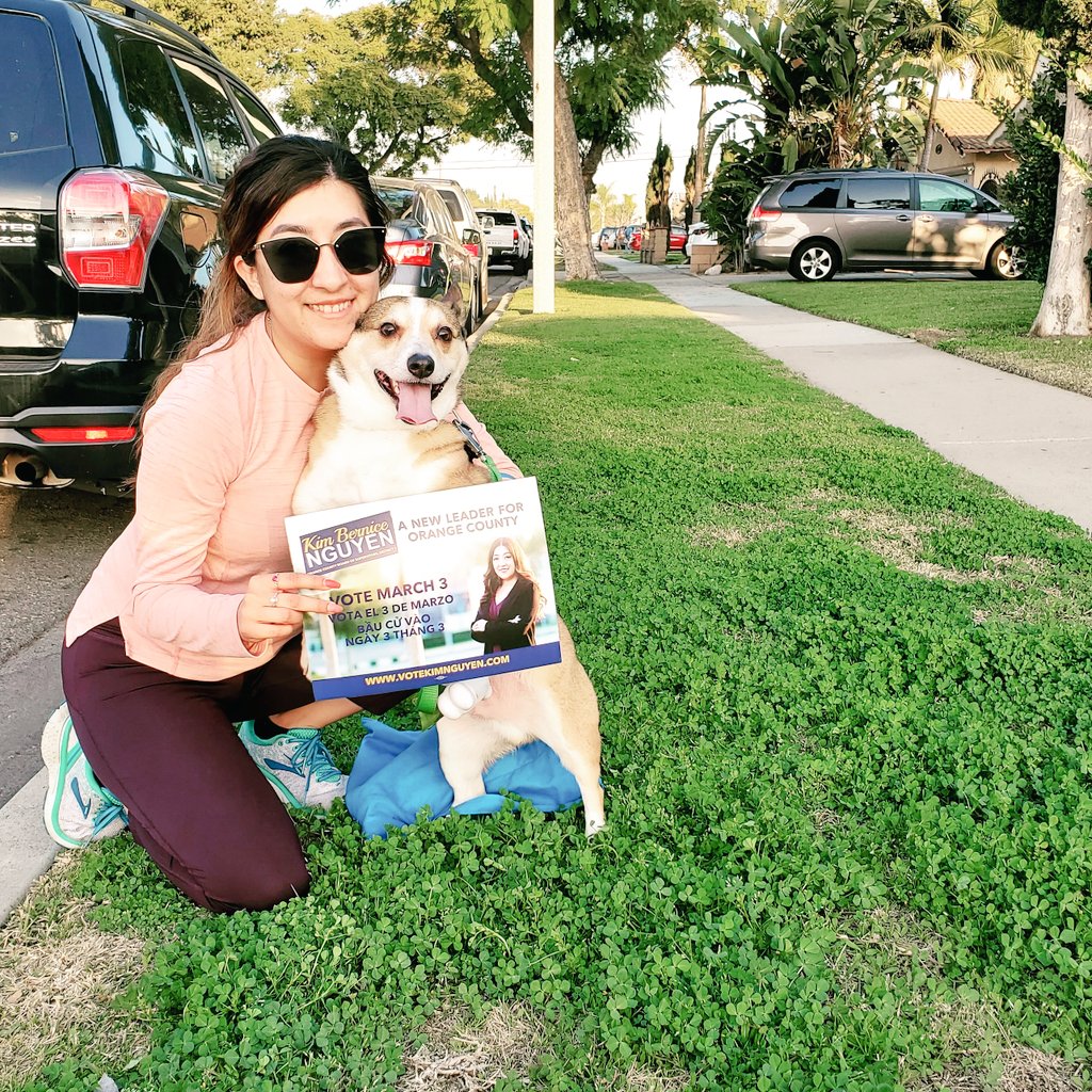 votekimnguyen's tweet photo. 15 days left to go! #einthecorgi joined me this afternoon to make sure voters know all the reasons they should be #InItToNguyenIt 
#TakeBackTheFirst 
Vote Kim Bernice Nguyen for OC Board of Sups D1 https://t.co/aeseqznsMB