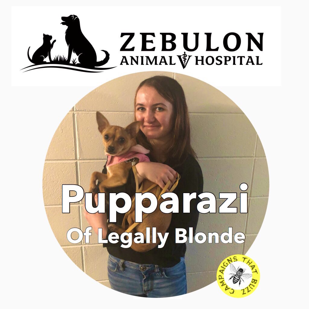 buzzcampaigns's tweet image. See Legally Blonde in Zebulon - Pike County Feb 27 - 29.     @PikeGASD  Theatre!  Promoted by @buzzcampaigns, @mpress_ga  #pikecountytimes #Fun101.1.   @ChickfilA  Griffin and Zebulon Animal Hospital