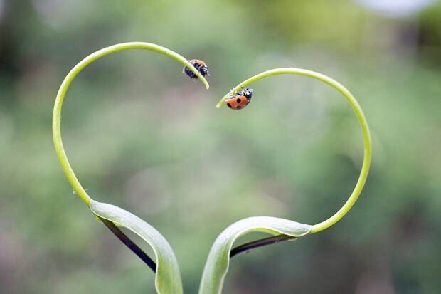 “A little consideration, a little thought for others, makes all the difference.” ~A.A.Milne #BeKind #tuesdayMotivation