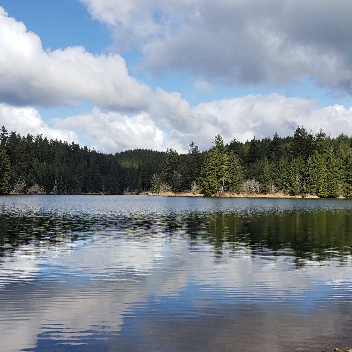 Dan's Oregon Fishing tweet media