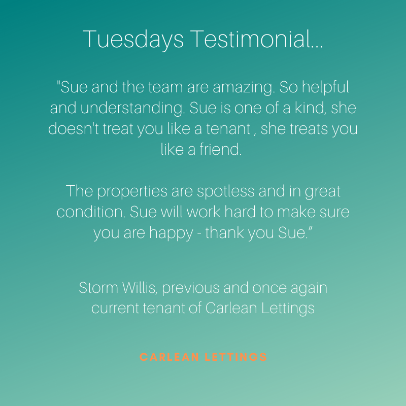 HainsbySue's tweet photo. Today's testimonial is from a tenant that left Carlean Lettings to purchase a property but then she came back to Carlean due to a change in circumstances. Life has twists and turns but happily, we were in a position to help Storm Willis.
#tenants #carlean #serviceweprovide https://t.co/uuRnCYOyvs