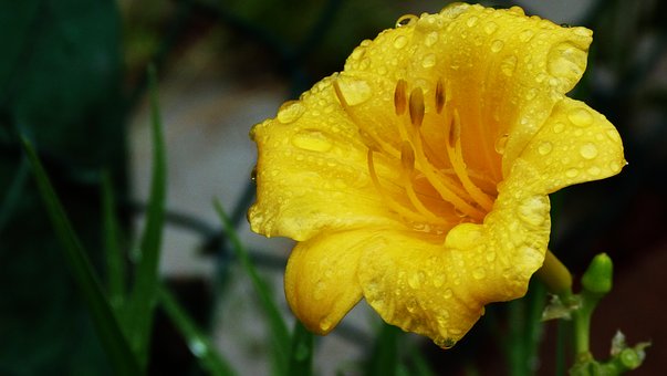 일반교회와 신천지. 각각 무슨 무엇를 말하나! 확인 필수!!
bit.ly/2ulXP3b
eduzion.org/ref/55154
#신천지 #교리비교 #한기총