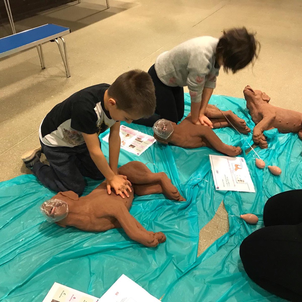 The Potteries Museum & Art Gallery tweet media