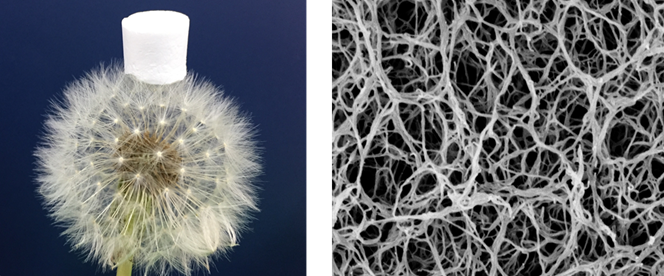 Today #Aerogel experts meet at the International Conference on Aerogels for Biomedical and Environmental Applications <a href="/StgoCompostela/">Santiago Compostela</a>. Do you want to know more about these materials? Stay tuned via cost-aerogels.eu