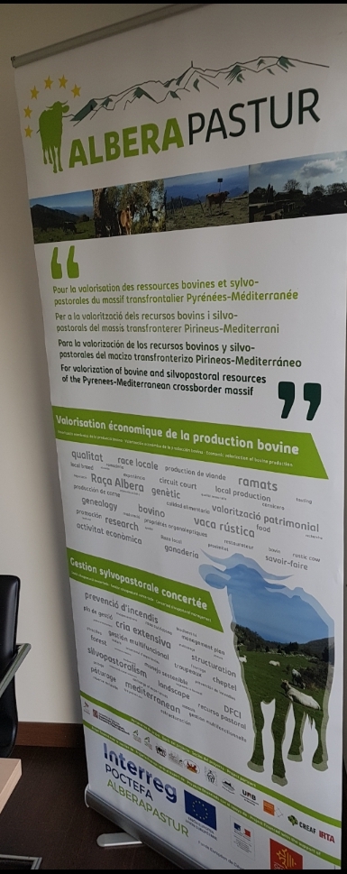 EuropeDirectPyr's tweet photo. Comité pilotage projet #alberapastur https://t.co/GembxwFrFJ #Interreg @CTPPOCTEFA : conservation/valorisation 🐄vache/vaca Albera
intéressant confronter pratiques/méthodes sylvopastoralisme #DFCI
pratiques surfaces pastorales éligibles 🇫🇷 / 🇪🇸 en vue négociations #PAC post 2020 https://t.co/vsRiFyZmhJ