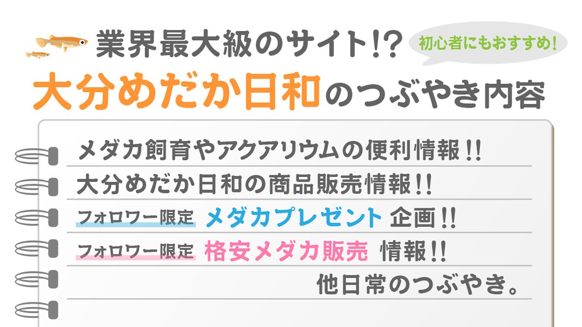 大分めだか日和 Oitamedakabiyor Twitter