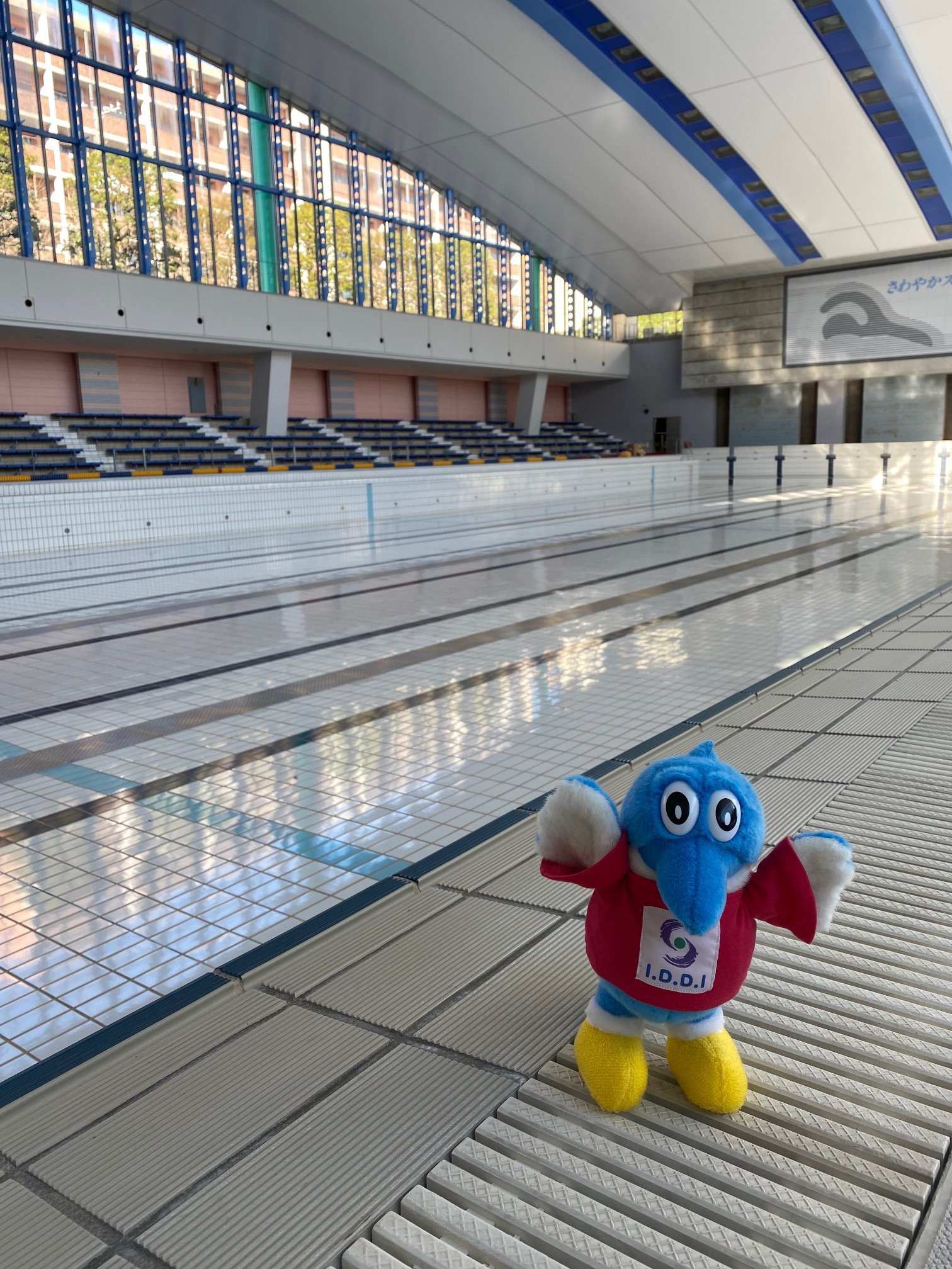 世田谷区立総合運動場温水プール 休館作業中 プール の水 全て抜き終わりました 普段は 約1 400 の水が入っているんです 水が入っていない状態のプールは なかなか見ることができませんよね 世田谷区 温水プール 休館日 アイディ 総合 世田谷区立総合運動場温水プール 休館作業中 プール の水 全て抜き終わりました 普段は 約1 400 の水が入っているんです 水が入っていない状態のプールは なかなか見ることができませんよね 世田谷区 温水プール 休館日 アイディ 総合
