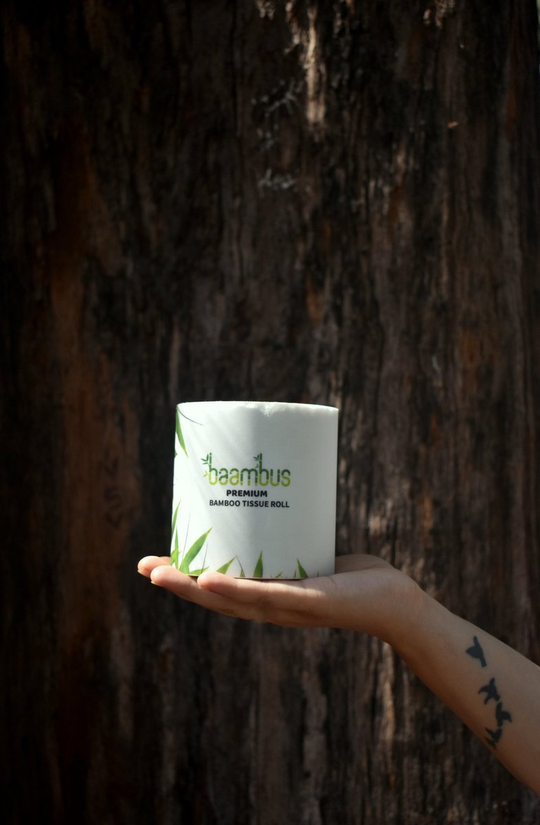 baambusindia's tweet photo. Trees deserve to be free. Choose fast-growing bamboo instead.
We are working on coming back to retails in a few weeks. Stay tuned!
#treefreetissues #bambootissues #forestfriendly #forestfree #saveforest #sustainable #suataibility #bamboo #baambus #treefreetp #nature https://t.co/onKC8SyWUu