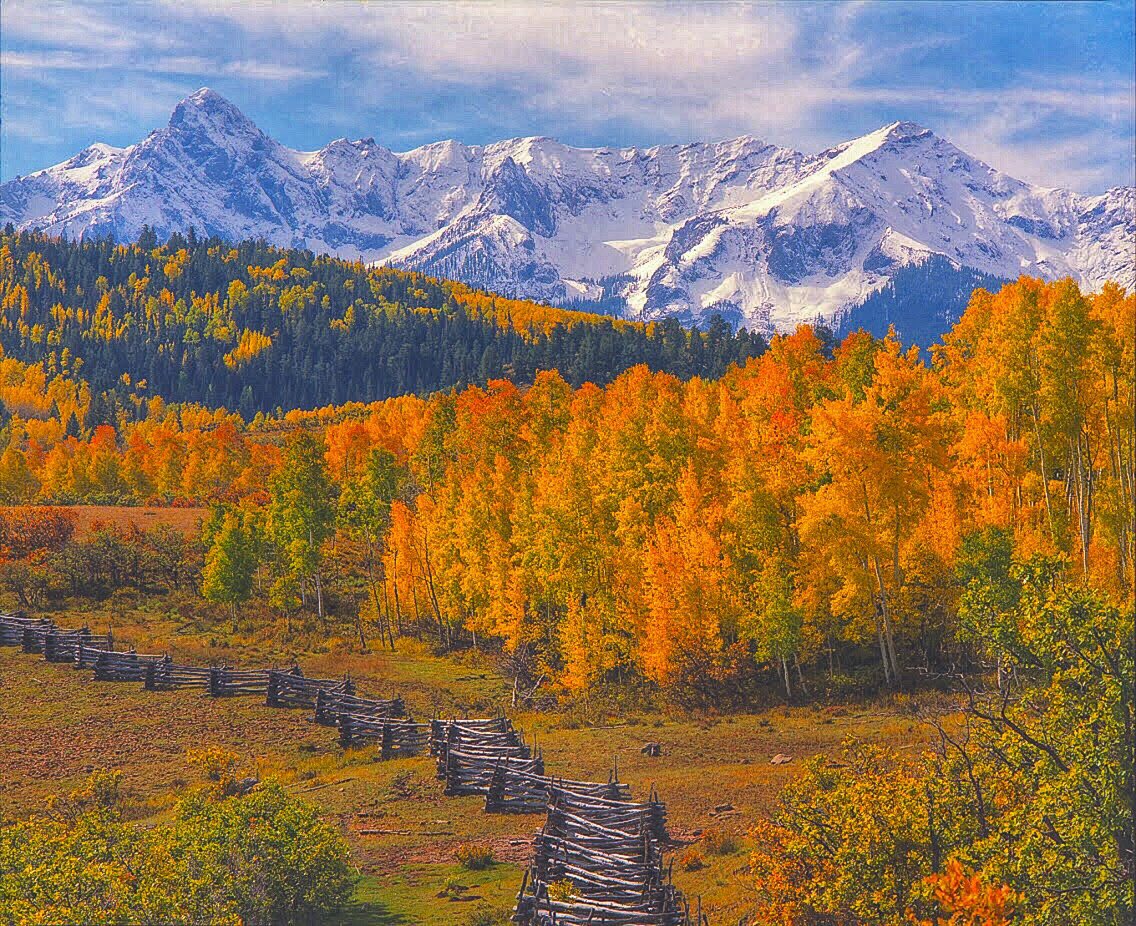 SteveTohari1's tweet photo. Aspen, San Juan Mountains from Dallas Divide,Colorado. Prints at https://t.co/o7g5ZLgk7H #colorado pictures #sanjuan Mountains #coloradoscenery https://t.co/ud5mbzaMph