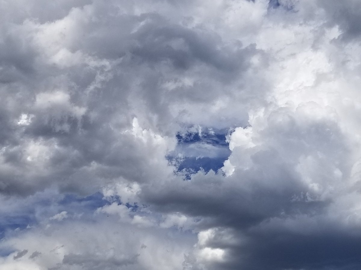 HopeAudacious's tweet image. Quarantine-The Final Day-Hope for Freedom
m.facebook.com/story.php?stor…
#AudaciousHope #HopeBringer #Coronavirus #Quarantine #Hope #Light #Promise #Possibility #Courage #Journey #Dreams #Persevere #Victory #Overcomer #Story #DontGiveUp #Free #Freedom #Chains #Prison #Prisoner #Captive