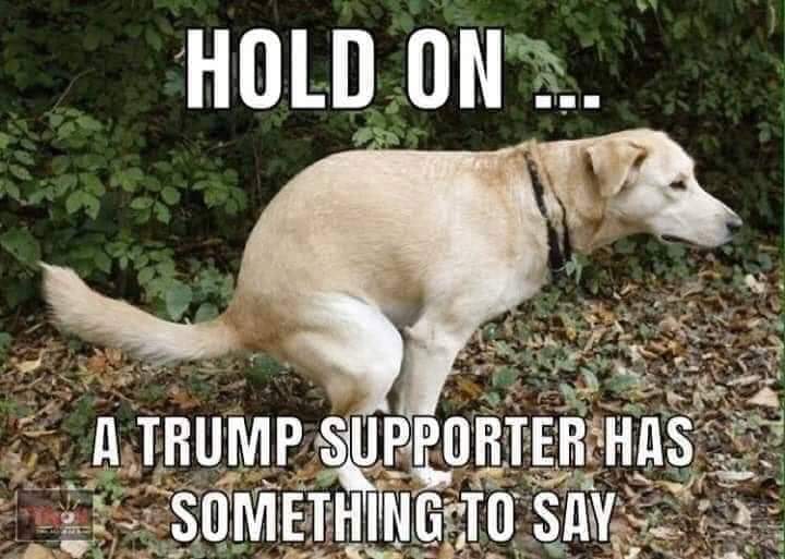 DogHouseSwine's tweet photo. @RealJamesWoods @realDonaldTrump https://t.co/XLcUC9LX6h