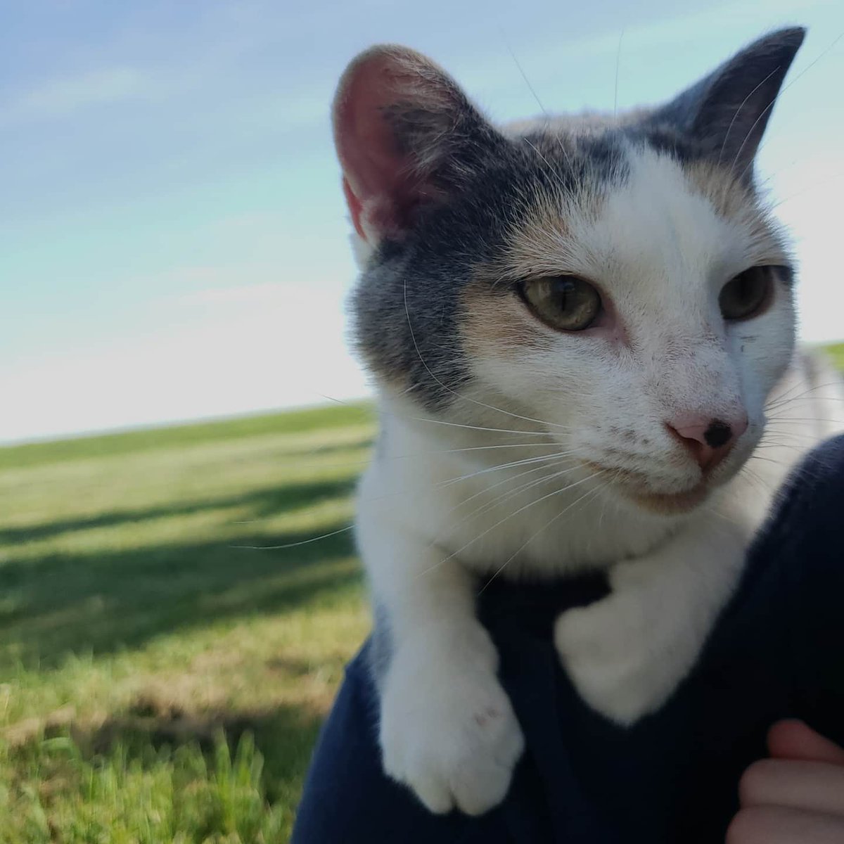 Sam “Octane” Larew on Twitter: 