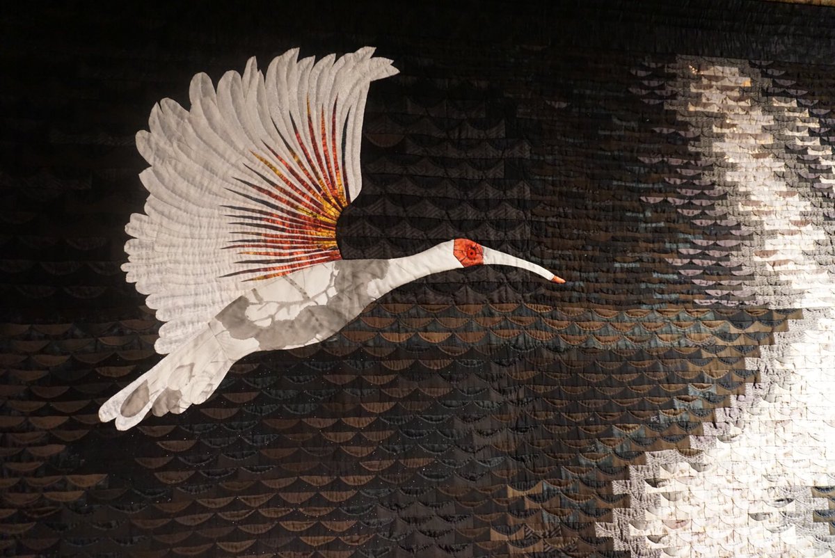 Uzivatel 出雲キルト美術館 Na Twitteru 渡り鳥 出雲キルト美術館の付近の水辺は西日本で最も渡り鳥がやってくる豊かな場所です 現在 白鳥 雁 ナベツル コウノトリなど様々な種が約5万羽以上も遥か北からやってきています 写真の作品は いずも朱鷺 冬季