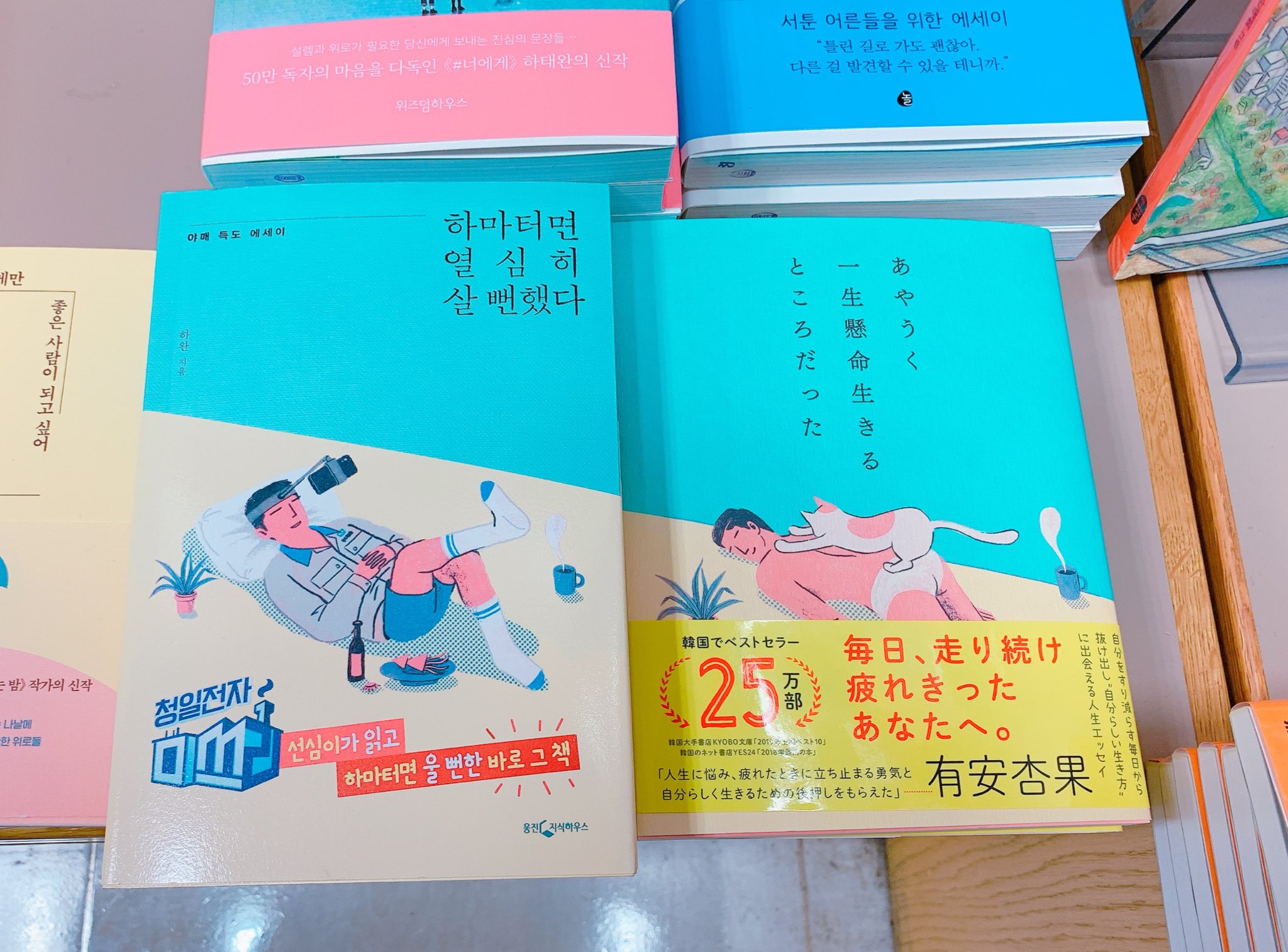 韓国語のhana 今これ読んでるの 日本語の方 あやうく一生懸命生きるところだった T Co Qdsnbcrmwe Twitter