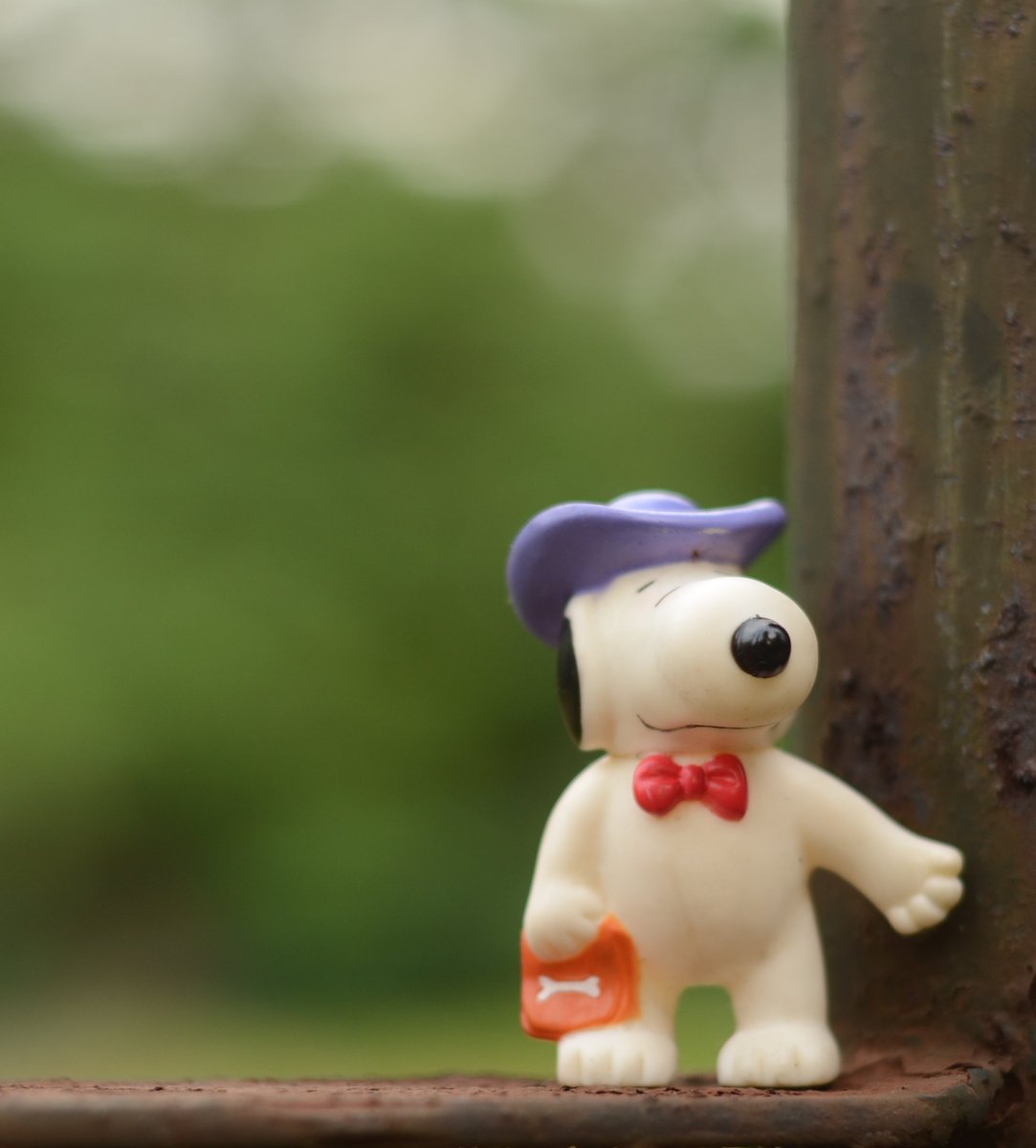 Just_Obed's tweet photo. Alone but not lonely ...
#jepret
#Photoshoot
#streetphotography
#toys https://t.co/6CASWNL0k3
