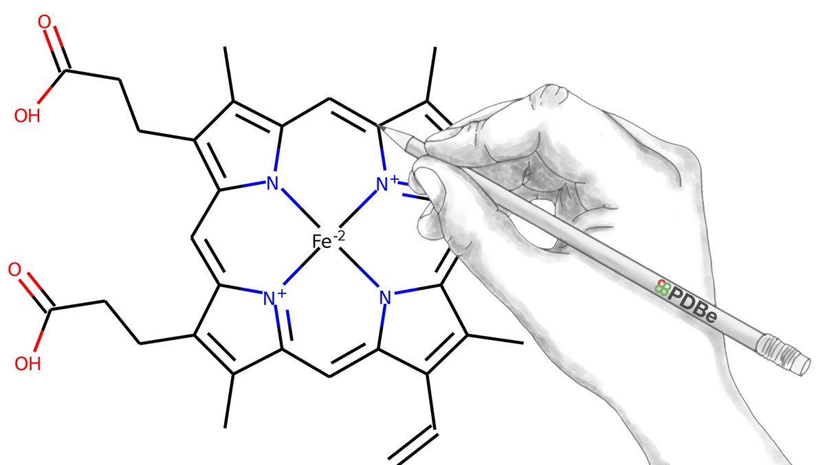 Protein Data Bank tweet media