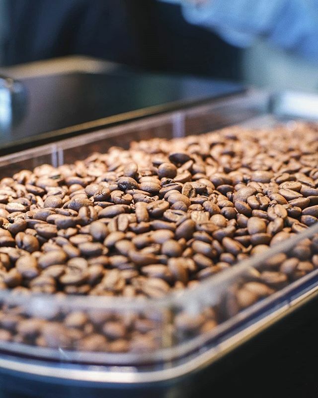 Der neuste Shot! ;)
.
Als single origin Espresso bieten wir ab heute eine neue Bohne an. 
Ein äthiopischer Kaffee aus dem Ort Bonga, in Keffa, die vermutlich ursprüngliche Heimat des Arabica Kaffees. Auf 500 Hektar in den wilden Wäldern der “Tega &amp; Tula … ift.tt/39CCT6O