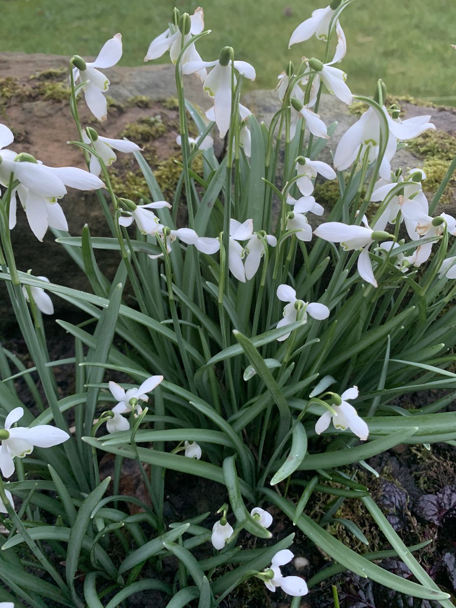 Day 3 of 7 life in pictures no words or people Thank you <a href="/RChillery/">Richard Chillery 🏳️‍🌈</a> I nominate <a href="/Jamesparksie/">James Parkes</a>