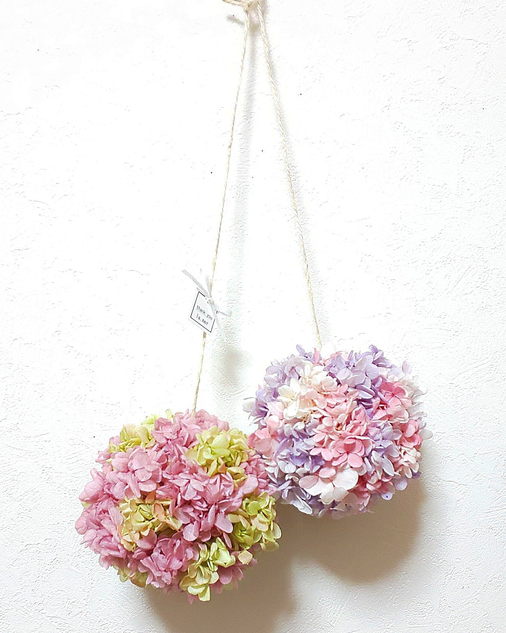 トピアリーボール Twitter Search Twitter