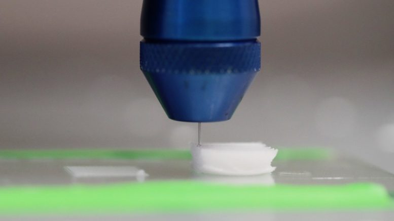 kentstrapper's tweet image. Bio-inchiostro per la stampa 3D che consente la costruzione di impalcature per supportare la crescita dei tessuti umani.

👉stamparein3d.it/bio-inchiostro…

🌐stamparein3d.it

#kentstrapper #3d #3dprinter #stampanti3d #innovazione #futuro #ricerca #biomedicina #salute #ingegneria