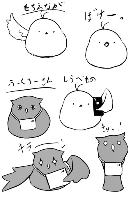 出演:オリキャラの鳥ちゃん 