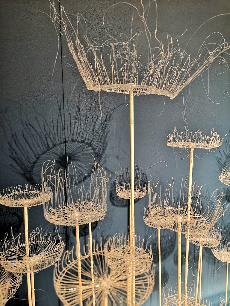 SimonGuy64's tweet photo. Parasol Fungi by Lorna Fraser. Made from recycled water bottles. Exhibition at @TheBotanics https://t.co/LDPjfrySqO