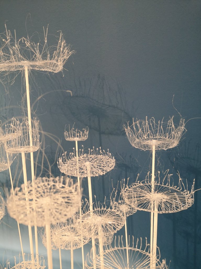 SimonGuy64's tweet photo. Parasol Fungi by Lorna Fraser. Made from recycled water bottles. Exhibition at @TheBotanics https://t.co/LDPjfrySqO