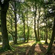 JMorrisEnv's tweet photo. A comprehensive review of how Carbon Intelligence are supporting National trust with a credible Net Zero pathway https://t.co/UtJ40hKC1z https://t.co/LeAGt8zWjy