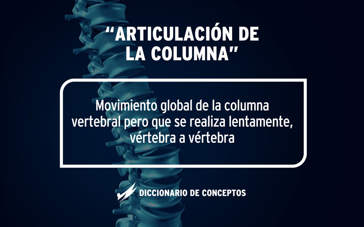 La columna está compuesta por vértebras apiladas entre sí y unidas por las articulaciones intervertebrales. El principio de articulación de la columna propone flexionar o extender la columna vértebra a vértebra para ganar movilidad en todos los segmentos espinales 👩‍⚕️👨‍⚕️