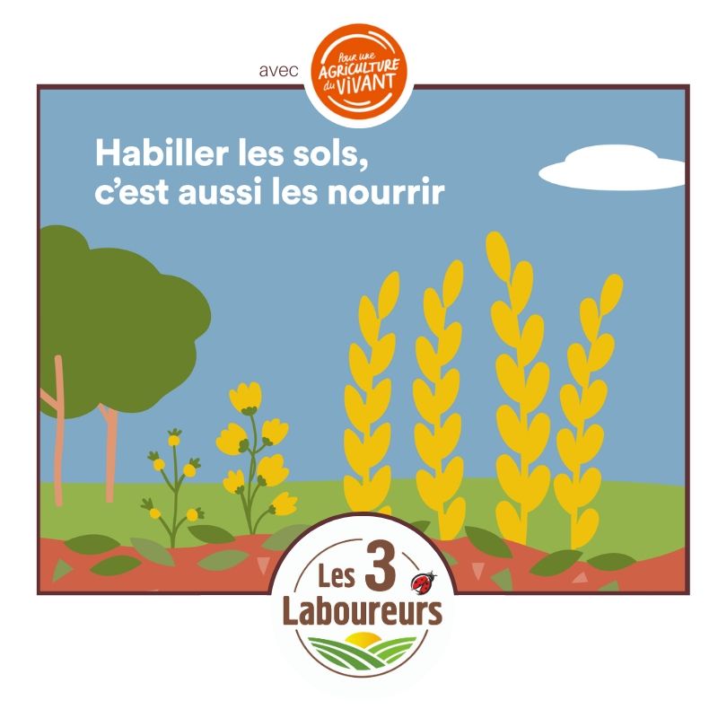 Les3Laboureurs's tweet photo. Avec @agriduvivant, nous voulons vous rappeler l'importance de la qualité des sols et des soins qu'il faut leur donner !  🚜

Retrouver l'infographie de @qqfait sur "Pour bien manger, on regarde où on met les pieds" 

🐞 https://t.co/G0iGuLDbt9 https://t.co/DYwSFi7nmm
