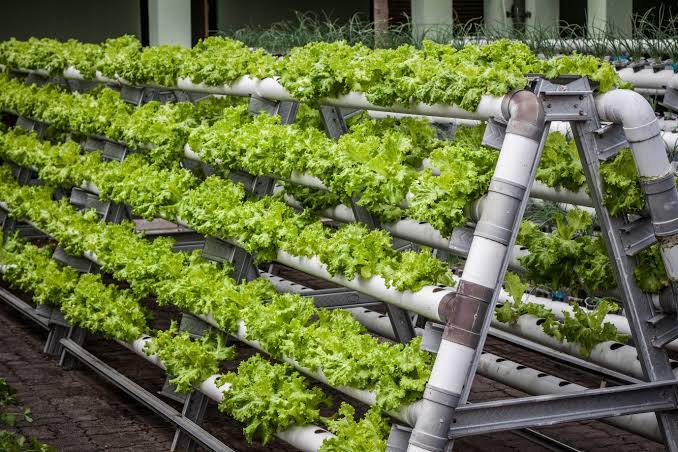 polaris_mrc's tweet photo. #Vertical_Farming Market is anticipated to reach over USD 11,905 million by 2026.
Read More@ https://t.co/Ne91KrmL2X
#size #share #trends #growth #analysis #forecast #VerticalFarmingMarket #InformationandCommunicationTechnology https://t.co/MWH2cQkyoa