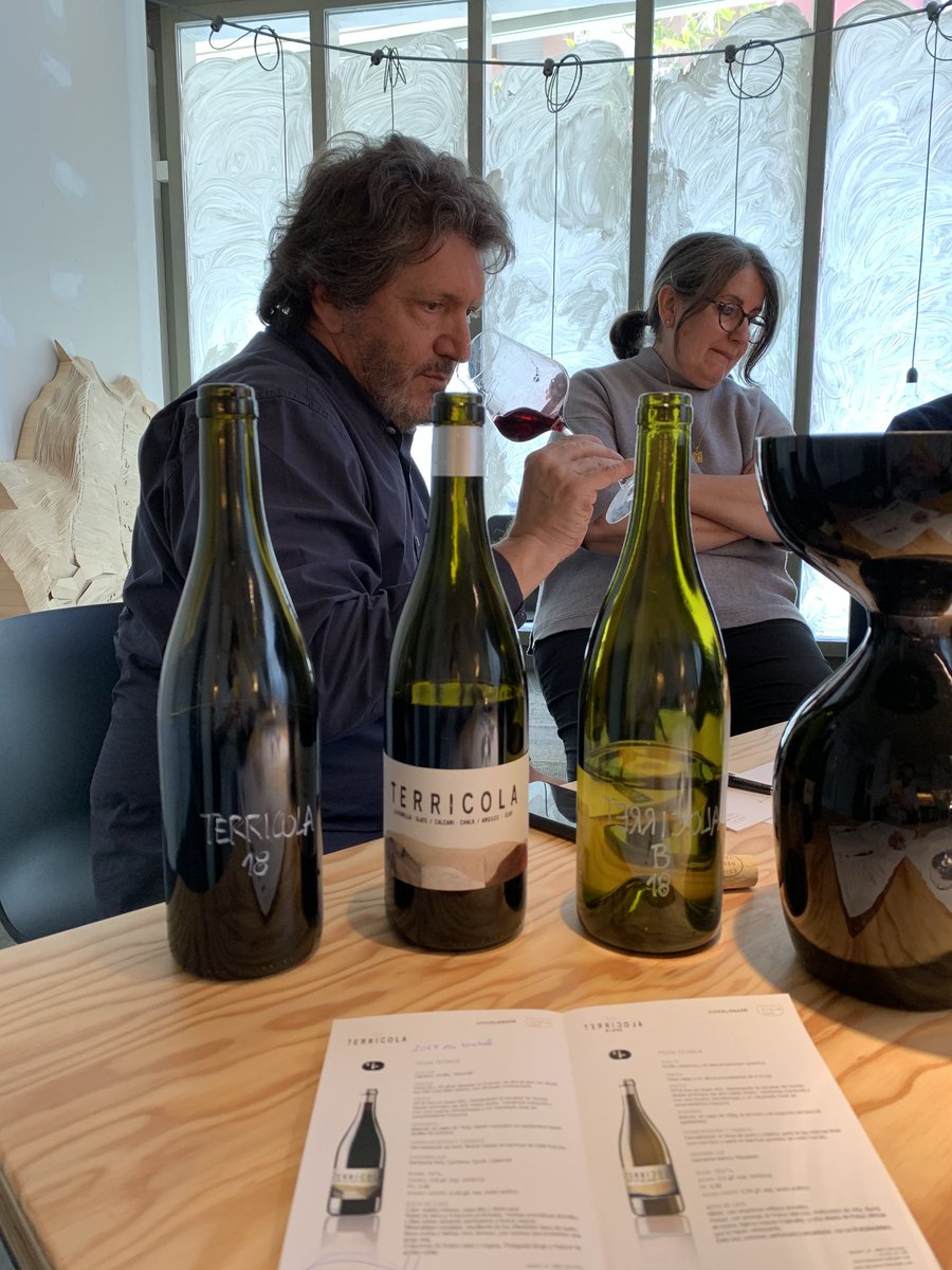 Catando las nuevas añadas de Terricoa y Terrestre.
Un proyeco de Vincelona junto al increible Alfredo Arribas
¿Que aún no has probado Terricola ni Terrestre?
¿A que esperas?!!
Ponte en contacto con nosotros y te lo enseñaremos