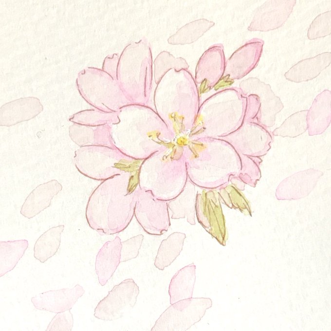 ダウンロード済み 散る 桜 木 イラスト 髪型