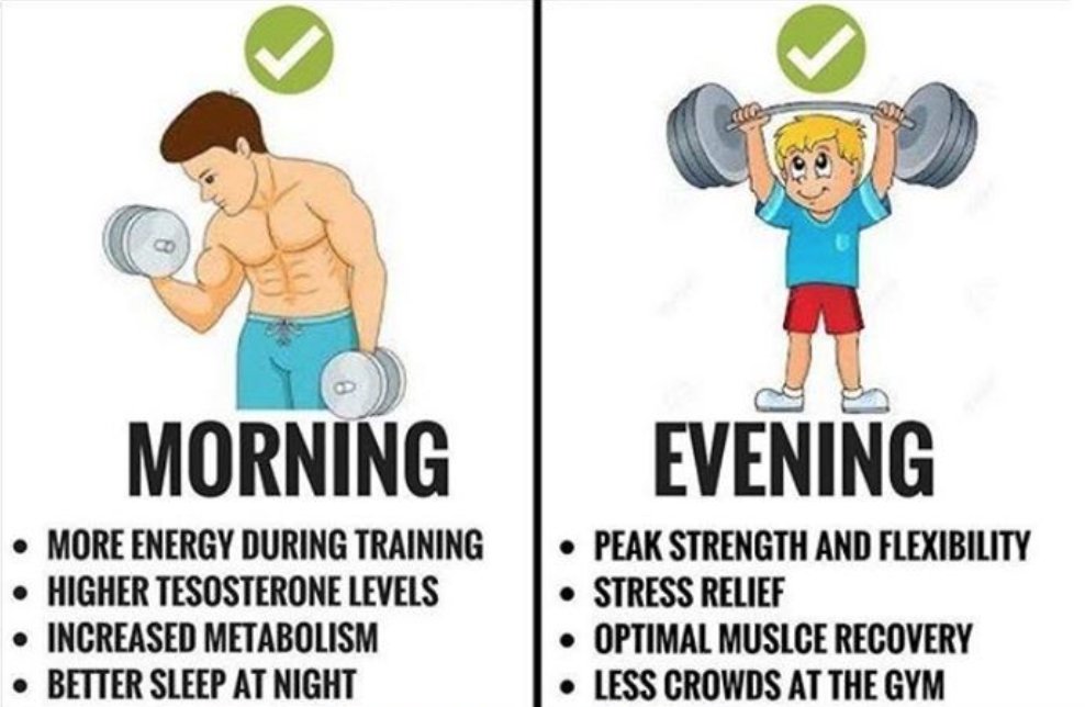 Gymchalo's tweet photo. #morningworkout #weightlifting #wheyprotein #BCAA #weightgainer #bodybuildinglifestyle #musclebuilding #eveningworkout #weighttraining #bodybuilding #glutamine #supplements #gainstrain #creatine #sixpack #workoutflow #getbig #fatloss https://t.co/dBs3ZlfFnf