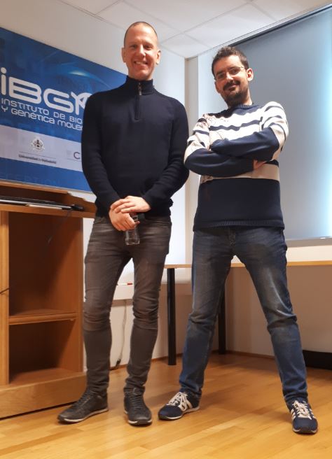 IBGM-CSIC/UVa tweet media