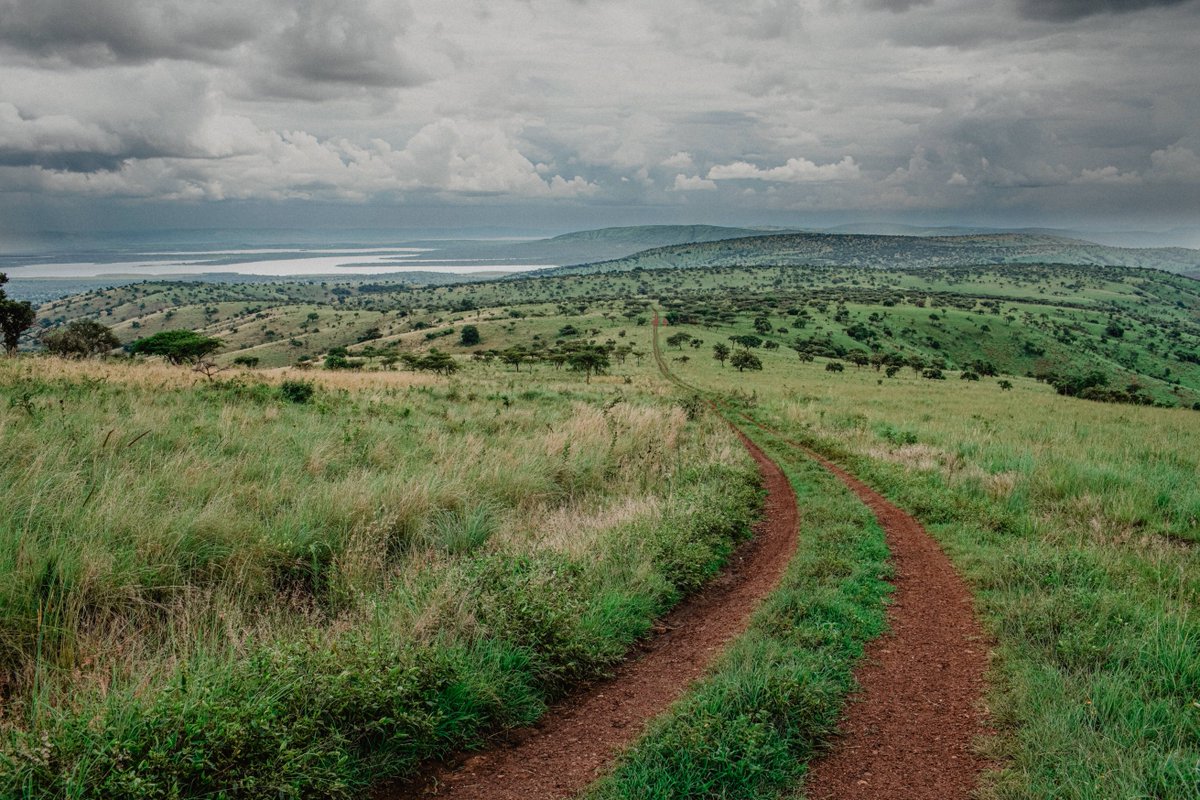 If you show up in #Akagera Park, you may not see thousands of zebras or hundreds of lions but trust me you will see millions of breathtaking landscape views ranging from rolling hills to plains to swamps and lakes and you will love it. #VisitRwanda #landscapes 📸: Ian Christmann