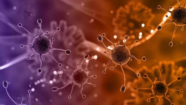 coincrispy's tweet image. Identifican 24 variantes genéticas que influyen en el cáncer de endometrio ccrspy.co/RQGR0W