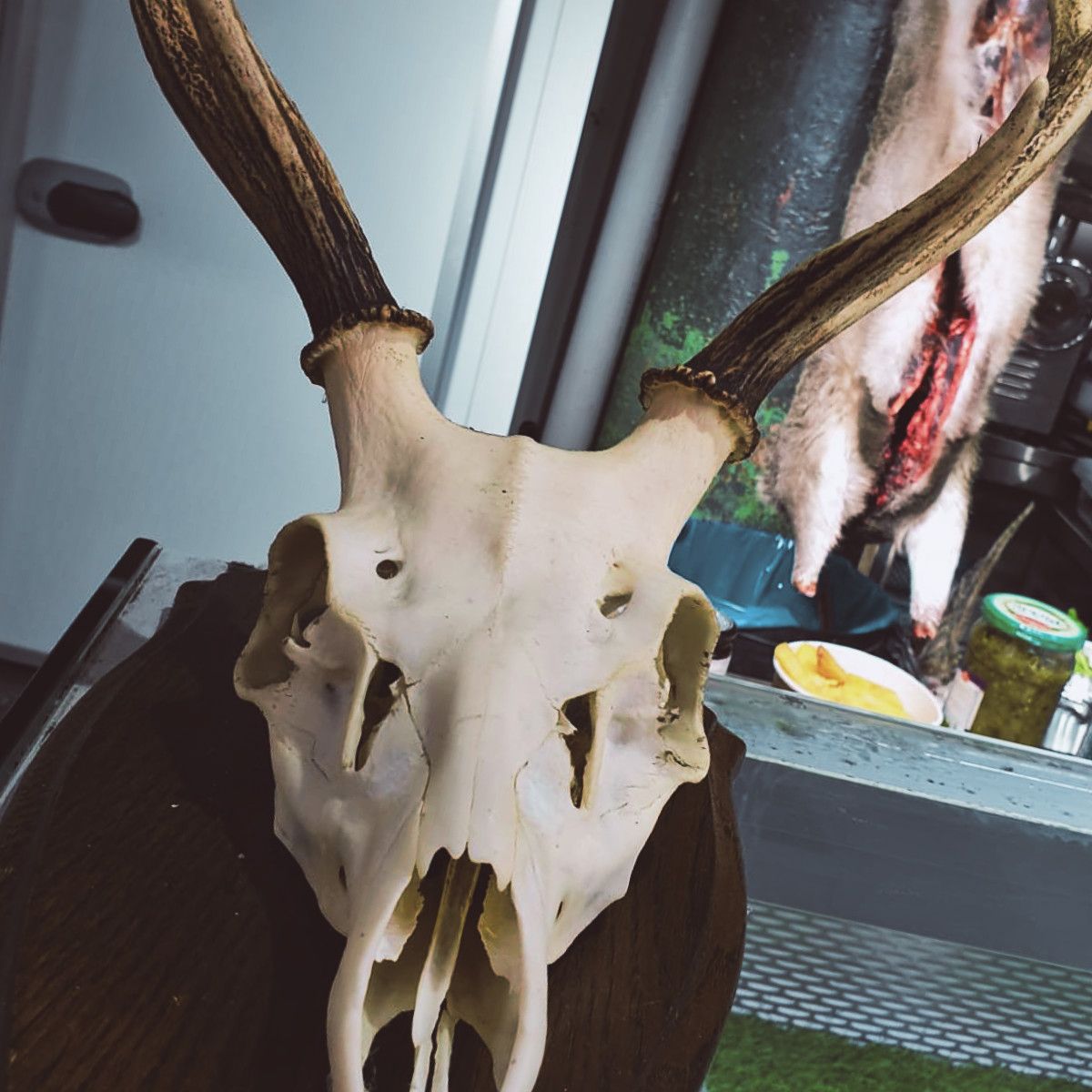 Finance Kitchen tweet media