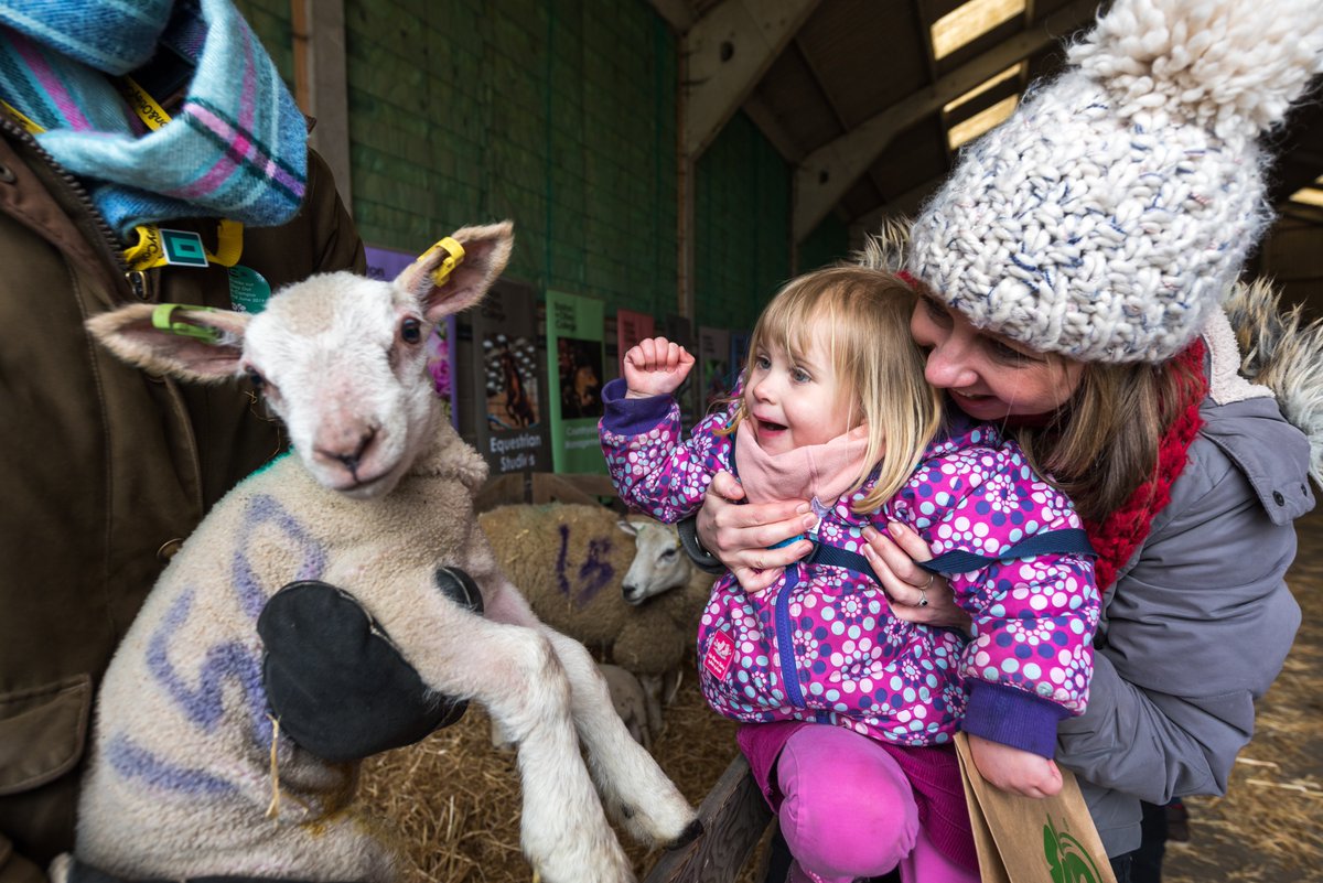 Royal Norfolk Show tweet media