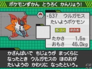 自分の身長体重に1番近いポケモン晒す