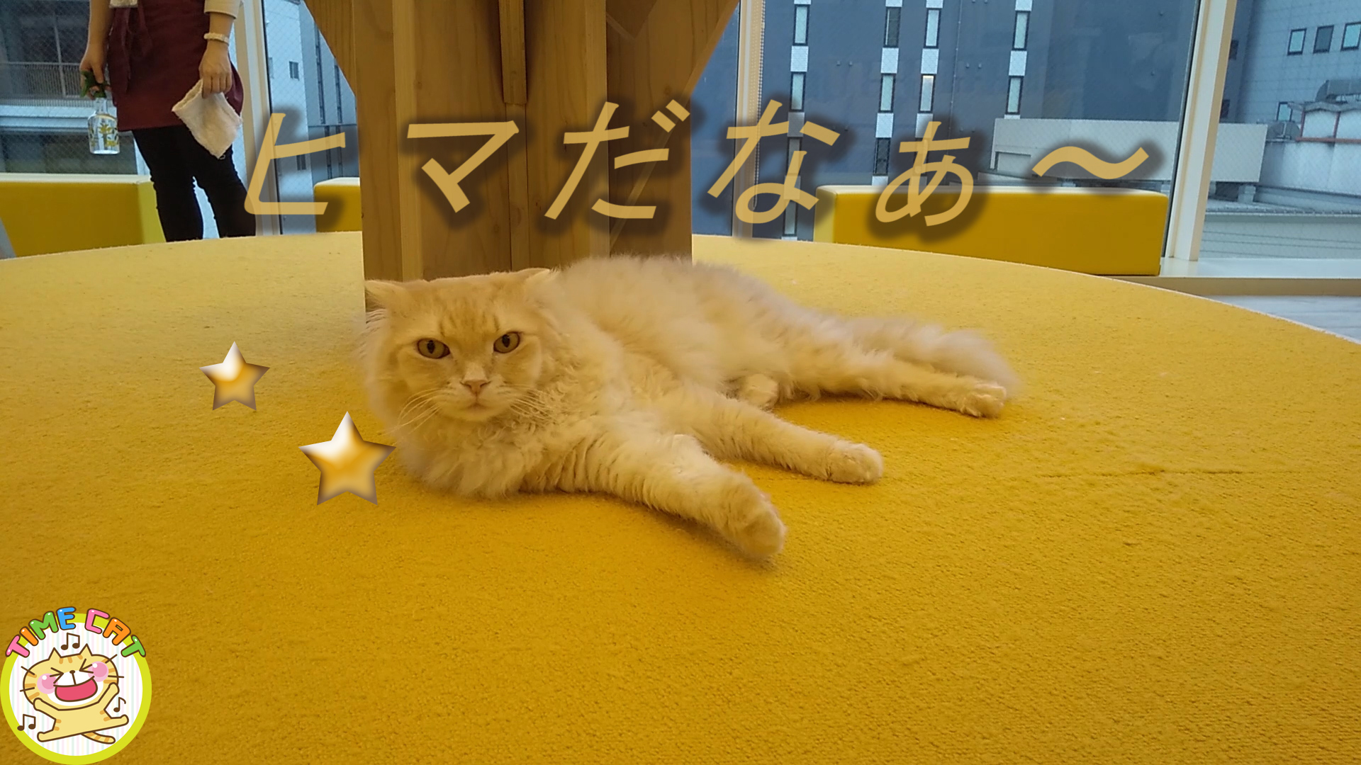Time Cat Youtuber Timecat369 Twitter