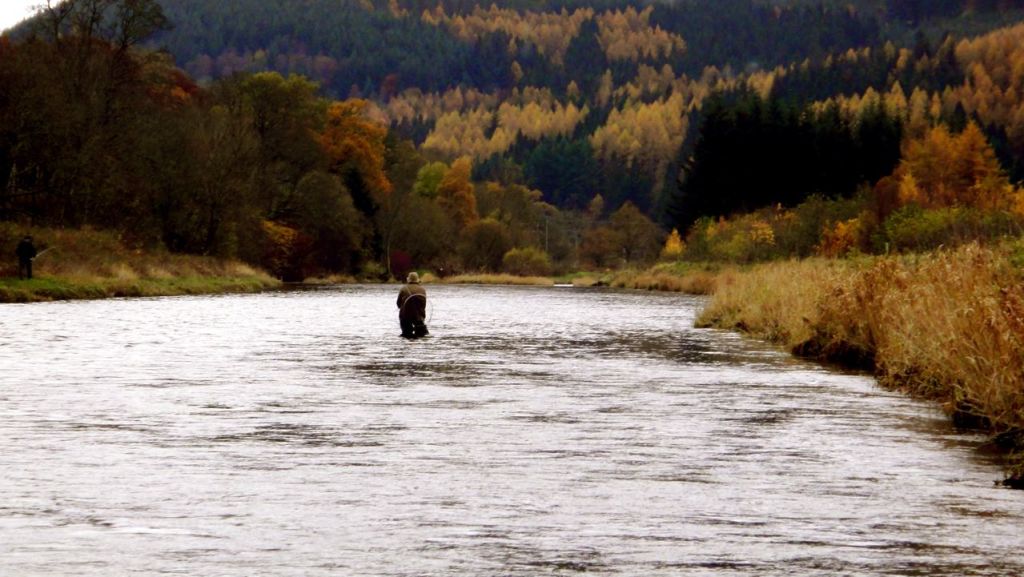 FishTweed1's tweet photo. Tweed Catches 2019 https://t.co/eiW2uuo59c https://t.co/q8rXzNKUOQ
