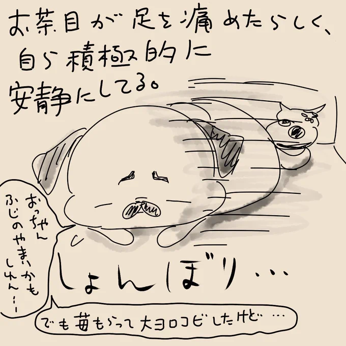 ゴハンは大騒ぎで食べたので多分大丈夫。 