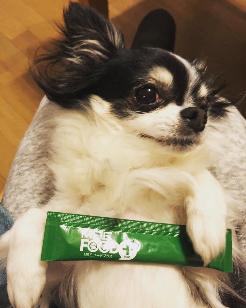 mre_foodplus's tweet photo. Mãᅵᅵ家ã®ããã¡ããïŒãã¯ã¯7æ³âïŒ
ãããïŒ
仿¥ã®ç§ãã€ã±ãŠããããïŒ
ã¢ãã«ãšããŠããªããªãã¬ãã«é«ãã®ãïŒ
暪é¡ã¯å³ã«åºãè
ã¯ãªãïŒ
ããŒããã©ã¹ããã¡ãã·ã§ã³ã¢ã€ãã ãªã®â¡
#MREããŒããã©ã¹ #MREFOODPLUS #ãã¯ã¯ #ç #ì¹ìì https://t.co/X7LkkQmEvT