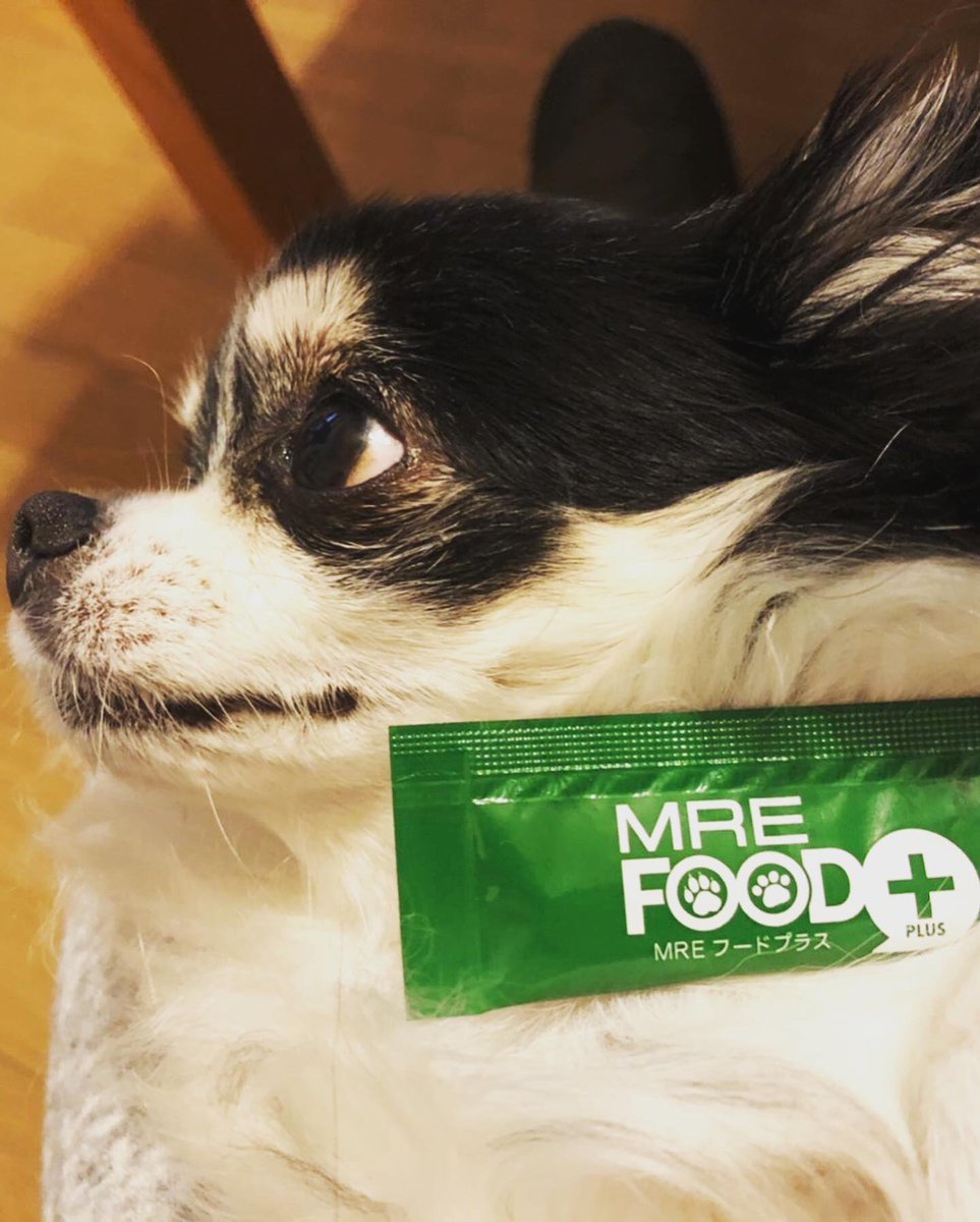 mre_foodplus's tweet photo. Mãᅵᅵ家ã®ããã¡ããïŒãã¯ã¯7æ³âïŒ
ãããïŒ
仿¥ã®ç§ãã€ã±ãŠããããïŒ
ã¢ãã«ãšããŠããªããªãã¬ãã«é«ãã®ãïŒ
暪é¡ã¯å³ã«åºãè
ã¯ãªãïŒ
ããŒããã©ã¹ããã¡ãã·ã§ã³ã¢ã€ãã ãªã®â¡
#MREããŒããã©ã¹ #MREFOODPLUS #ãã¯ã¯ #ç #ì¹ìì https://t.co/X7LkkQmEvT