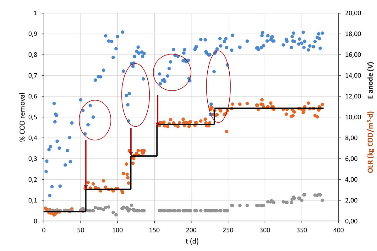 Do you want to know the results of the #LifeANSWER project in 2019? All thanks to the combination of electrochemical technologies. Don't miss it! We have prepared a complete and detailed publication on our website. life-answer.eu/en/results/