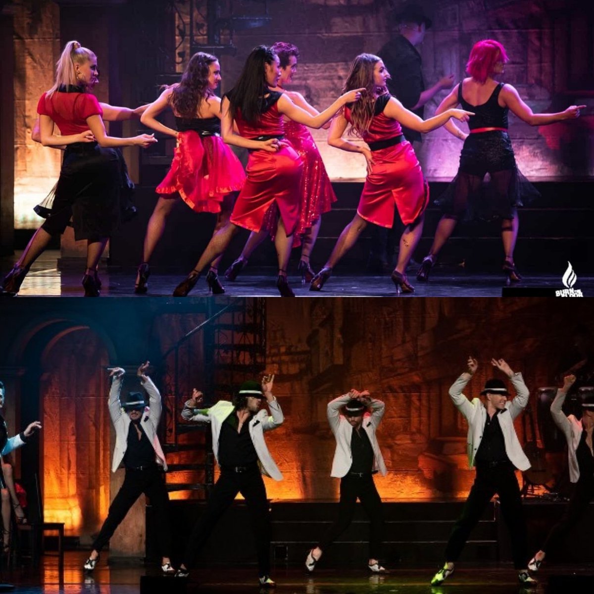 STheatreCo's tweet photo. Its not long until BURN THE FLOOR hit the stages of the UK. Get ready for a stage show you'll never want to forget! 🔥🔥
Standard and VIP Meet and Greet Tickets are available from https://t.co/7znkf19PPL 🎟️🎟️
#dance #strictly #burnthefloor #btfdancer #strictlytheatreco https://t.co/cF7dDs7ETP