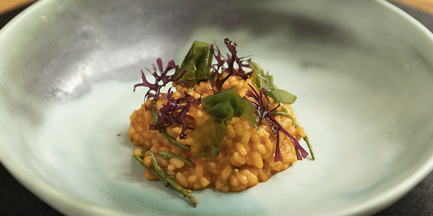 Dos momentos perfectos pertenecientes al menú ‘Sobremesa’, solo en Dos Cielos Madrid: ensalada de huevo rojo y setas, y arroz meloso con lubina, pulpo seco y salicornia. No hay Sobremesa sin ti.
#ALifeWellLived
#DosCielosMadrid
@palacioduquesgm