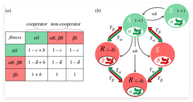Hadany Lab tweet media